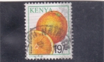 Stamps Kenya -  cítricos-naranja