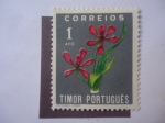 Stamps Portugal -  Fauna: Timor Portugués.