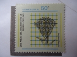 Stamps Venezuela -  Flora: 250 años del Nacimiento de Pedro Loefling. - Colyledon Hispanica.
