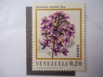 Stamps Venezuela -  Flora: Epidendrum Secundum. Jacq.