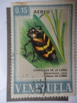 Stamps Venezuela -  Fauna: Candelilla de la Caña (Aeneolamia Varia)