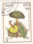 Stamps Laos -  setas