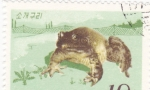 Stamps North Korea -  rana