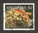 Stamps Asia - Singapore -  688 - fauna marina, cyprae tigris