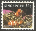Sellos de Asia - Singapur -  691 - Pez Payaso