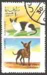 Stamps Oman -  Gato y Perro