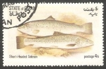 Stamps Oman -  Fauna marina