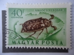 Stamps Hungary -  Magyar Posta 