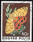 Stamps Hungary -  Hungría-cambio