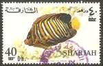 Stamps United Arab Emirates -  Sharjah - Pez