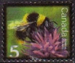 Stamps : America : Canada :  CANADA 2007 Sello Animales Abejorro Bombus Polaris Polinizando una Flor usado