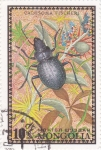 Sellos de Asia - Mongolia -  insecto-calosoma fischeri