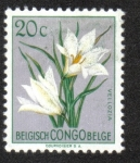 Stamps : Africa : Democratic_Republic_of_the_Congo :  Flores, Congo Belga