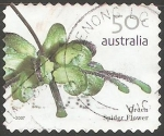 Sellos de Oceania - Australia -  Green Spider Flower 