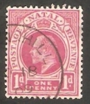 Sellos de Africa - Sudfrica -  Eduardo VII