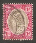 Stamps : Africa : South_Africa :  Eduardo VII