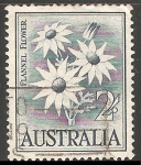 Sellos de Oceania - Australia -  flor de franela 