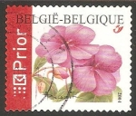 Stamps Belgium -  Clavel rojo