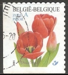 Stamps Belgium -  Tulipan