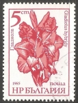 Stamps : Europe : Bulgaria :  Gladiolo
