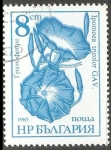 Stamps : Europe : Bulgaria :  ipomoea tricolor