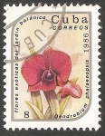 Sellos de America - Cuba -  Dendrobium phalaenopsis