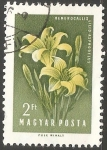 Stamps Hungary -   Hemerocallis lilioasphodelus