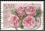 Stamps Norway -  Pink rose