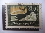 Stamps Hungary -  Magyar Posta.,