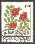 Sellos de Europa - Noruega -  Arándano rojo