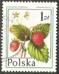 Sellos del Mundo : Europa : Polonia : frutas del bosque