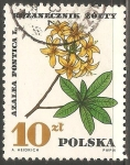 Stamps Poland -  Azalea pontica