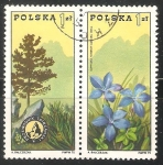 Stamps Poland -  Tatra Presidencia y genciana de primavera