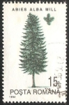 Stamps Romania -  Abeto Blanco