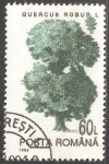Stamps Romania -  Roble común