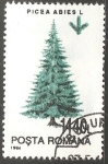 Stamps Romania -  Pícea europea, 