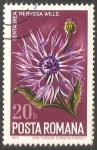 Stamps : Europe : Romania :  Nervosa Centaurea