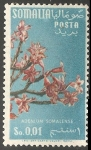 Stamps Somalia -  Rosa del desierto