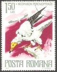 Stamps Romania -  Ave Neophron percnopterus