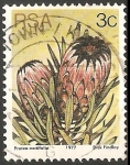 Stamps South Africa -  Protea neriifolia