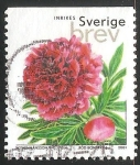 Stamps Sweden -  Peonía campesina Red