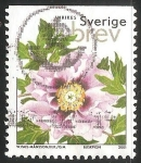 Stamps : Europe : Sweden :  Peonía Árbol, _