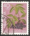 Stamps Switzerland -  Plantas medicinales del bosque