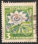 Stamps : America : Uruguay :  Pasionaria