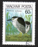 Stamps Hungary -  Pajaros 1980