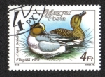 Stamps Hungary -  Pajaros del 88