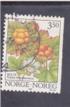 Sellos de Europa - Noruega -  flores