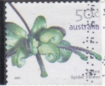 Sellos de Oceania - Australia -  flores
