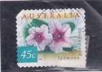 Stamps Australia -  flores
