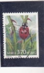 Stamps Norway -  insecto-mariquita
